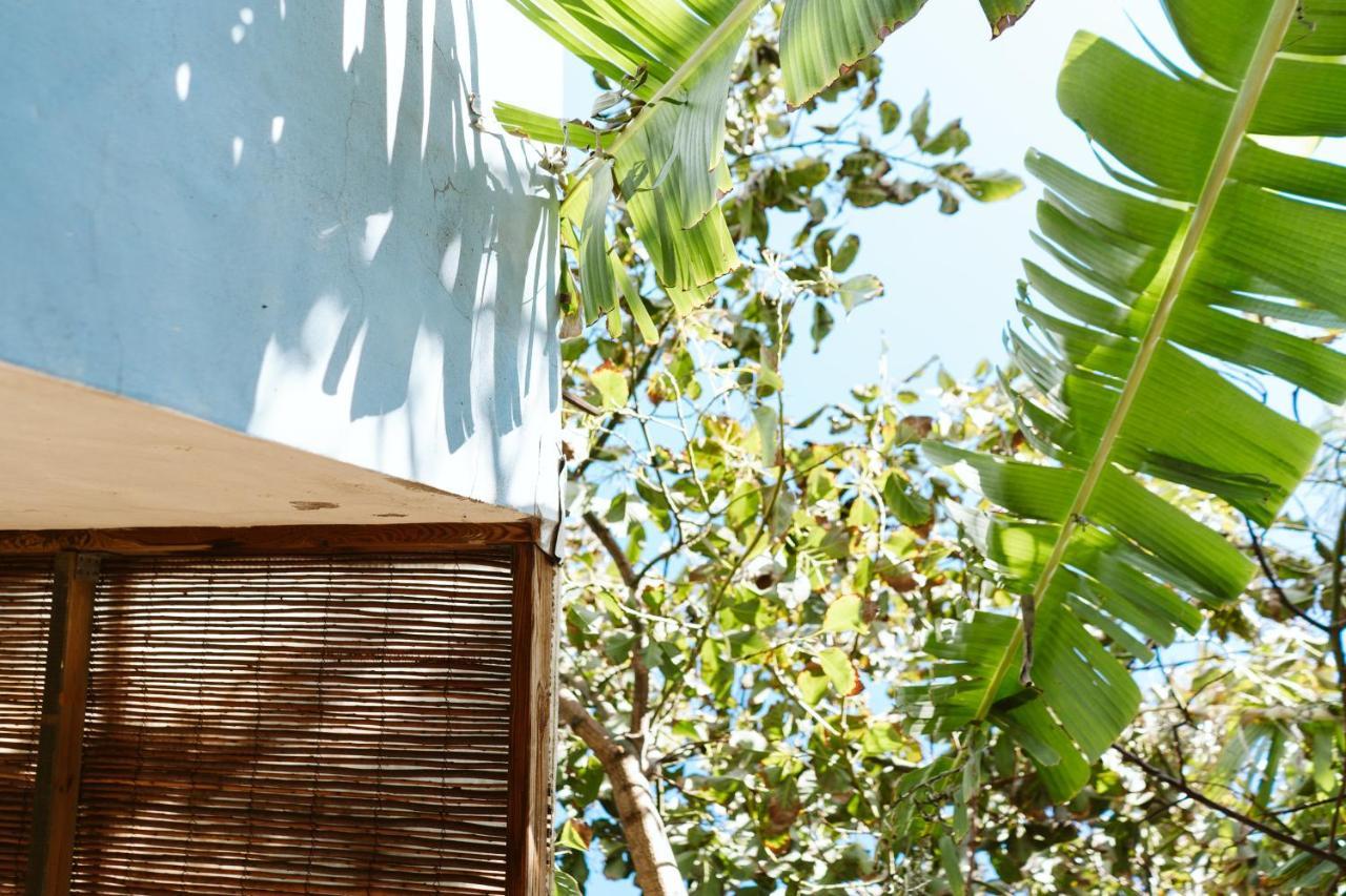 Tortuga Blue House In Banana Plantation Villa Arucas Eksteriør billede